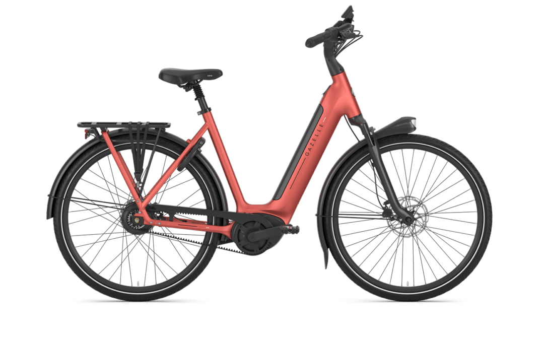 NEW:  Gazelle Arroyo C380 Elite