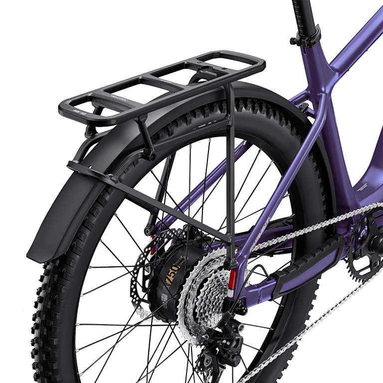 Summit 2 - Rear Rack2